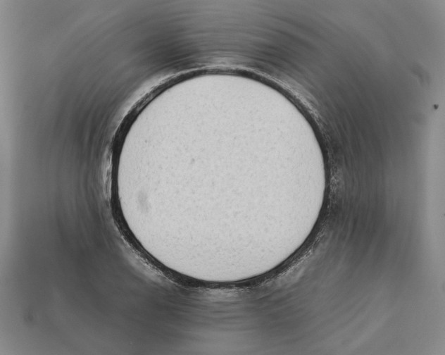 X0000112401126200909110923