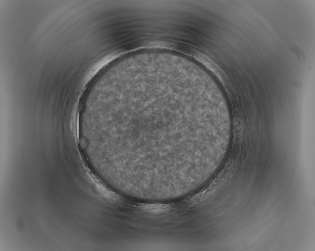 X0000112401127200909110923