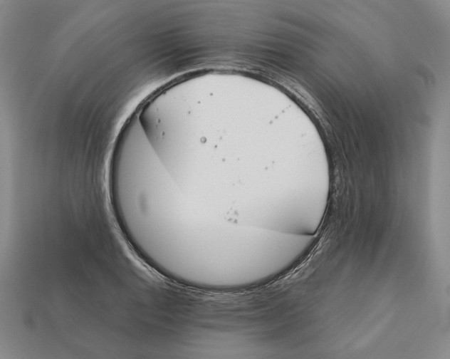 X0000112401128200909110923