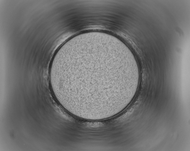 X0000112401129200909110923