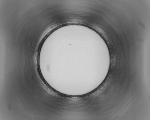 X0000112401130200909110923
