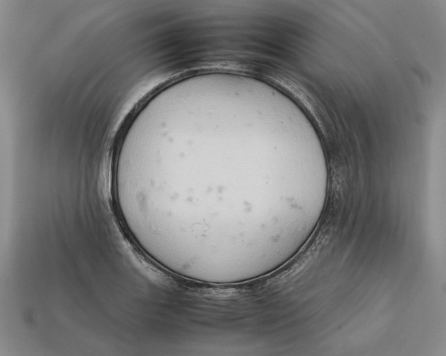 X0000112401131200909110923