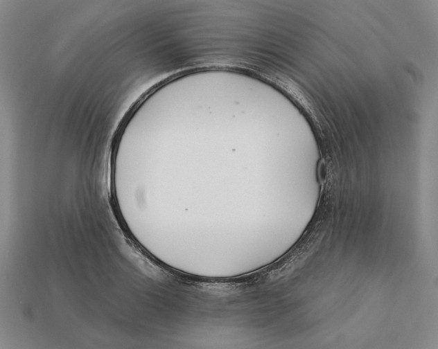 X0000112401132200909110923