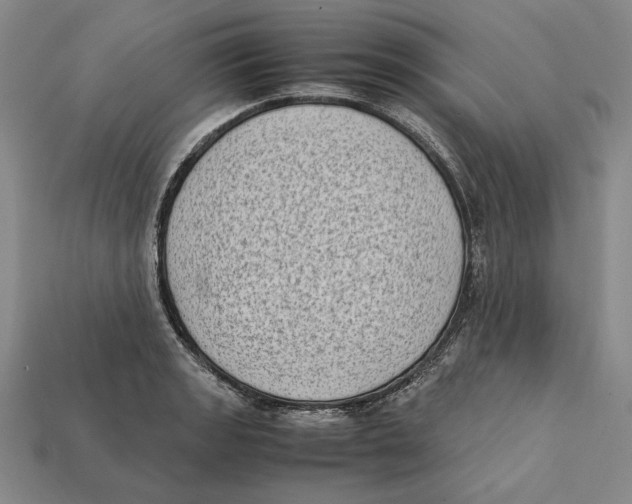 X0000112401133200909110923