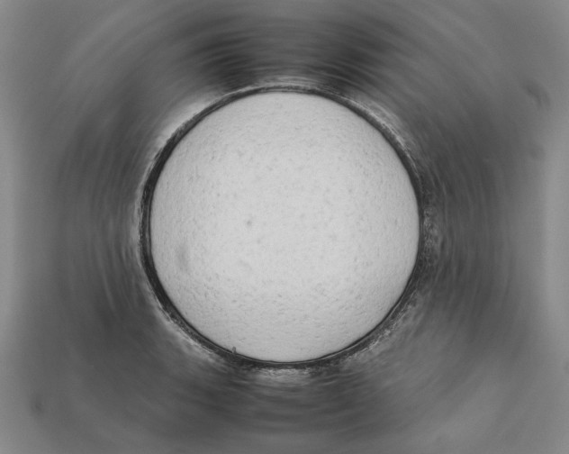 X0000112401135200909110923