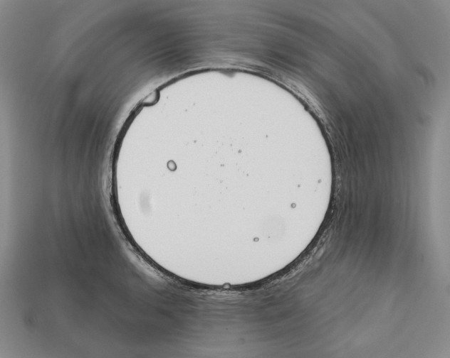 X0000112401136200909110923