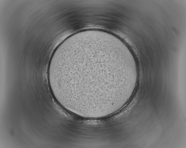 X0000112401137200909110923
