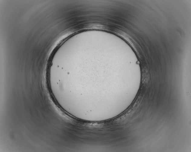 X0000112401139200909110923
