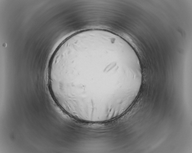 X0000112401140200909110923