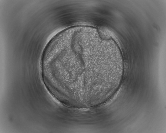 X0000112401141200909110923