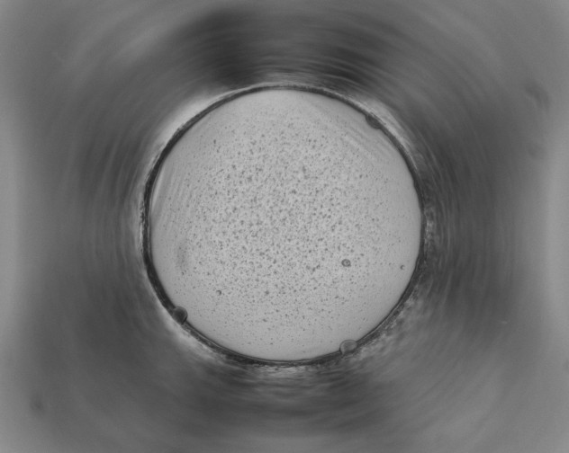 X0000112401143200909110923