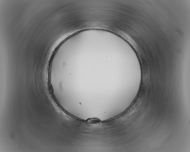 X0000112401144200909110923