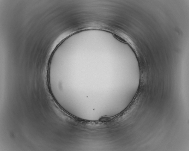 X0000112401146200909110923