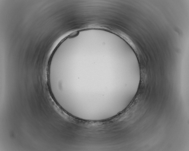 X0000112401148200909110923