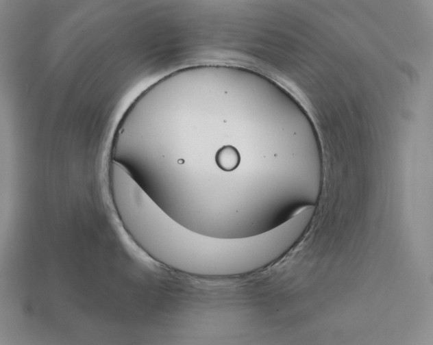 X0000112401152200909110923