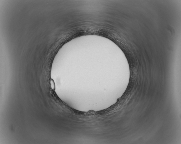 X0000112401153200909110923