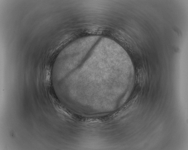 X0000112401154200909110923