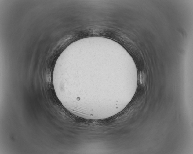 X0000112401155200909110923