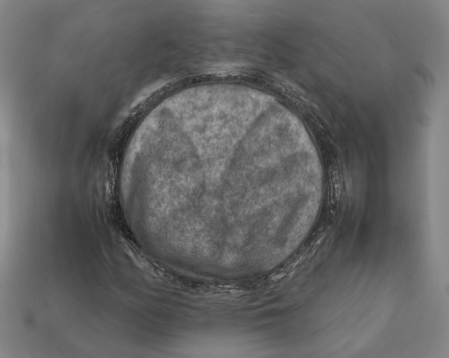 X0000112401158200909110923