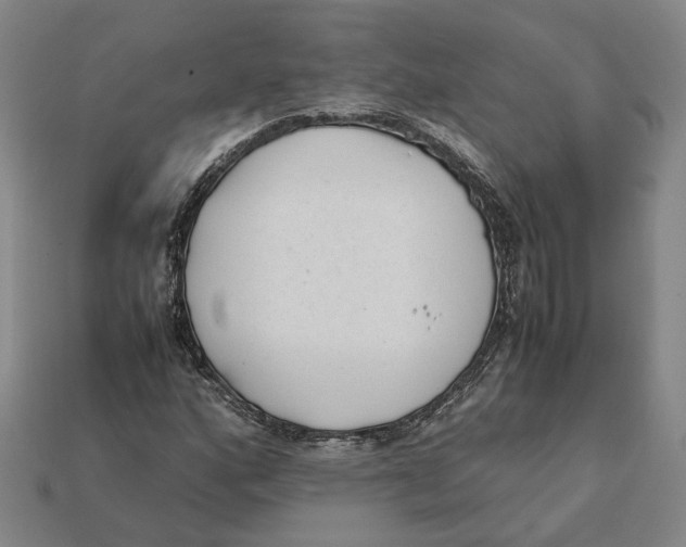 X0000112401160200909110923