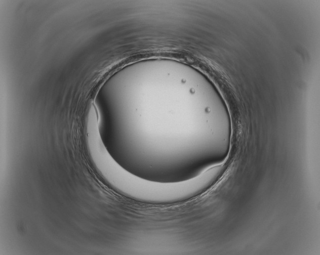 X0000112401161200909110923