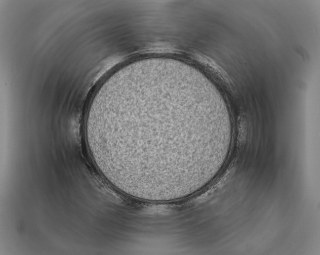 X0000112401162200909110923