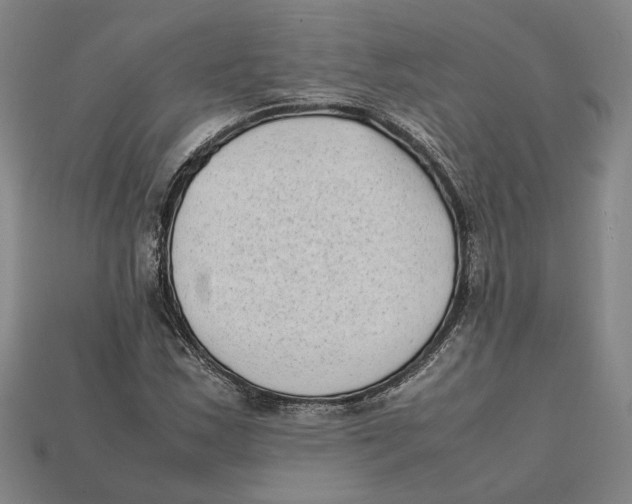 X0000112401163200909110923
