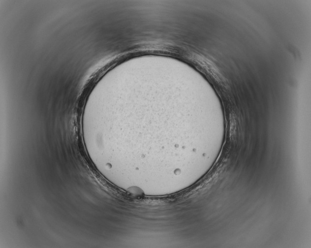 X0000112401164200909110922