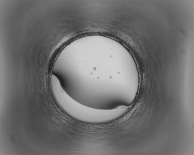 X0000112401165200909110922