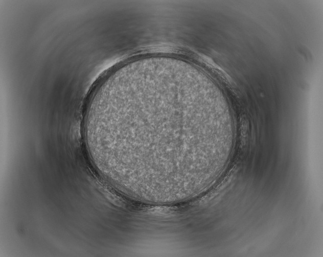 X0000112401166200909110922