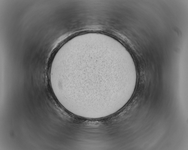 X0000112401168200909110922