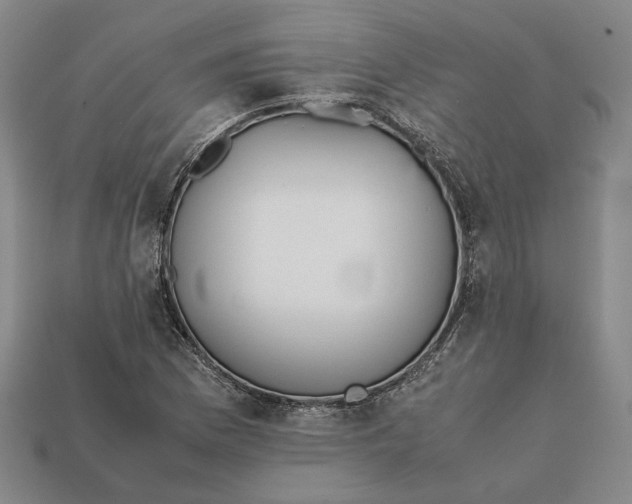 X0000112401169200909110922