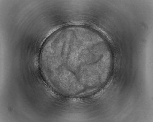 X0000112401170200909110922