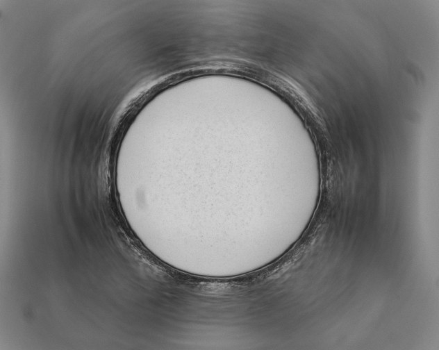 X0000112401172200909110922