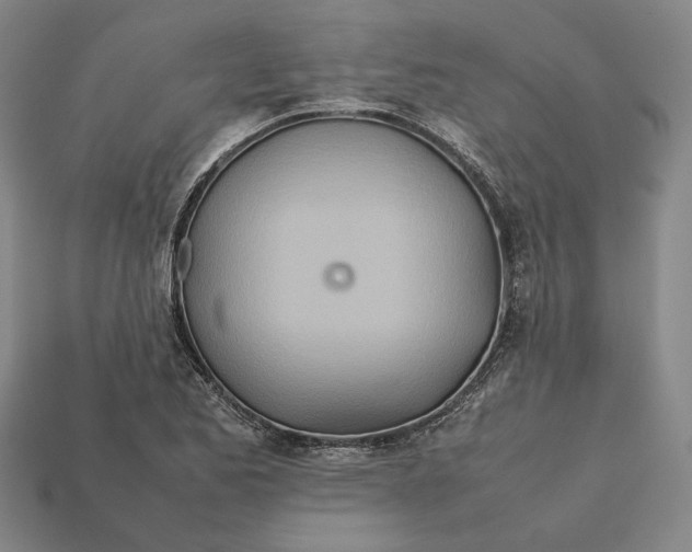 X0000112401173200909110922