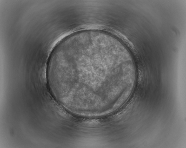 X0000112401174200909110922