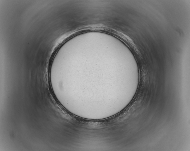 X0000112401176200909110922
