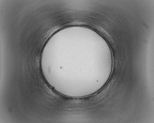 X0000112401177200909110922