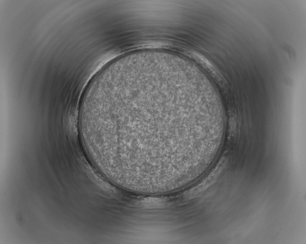 X0000112401178200909110922