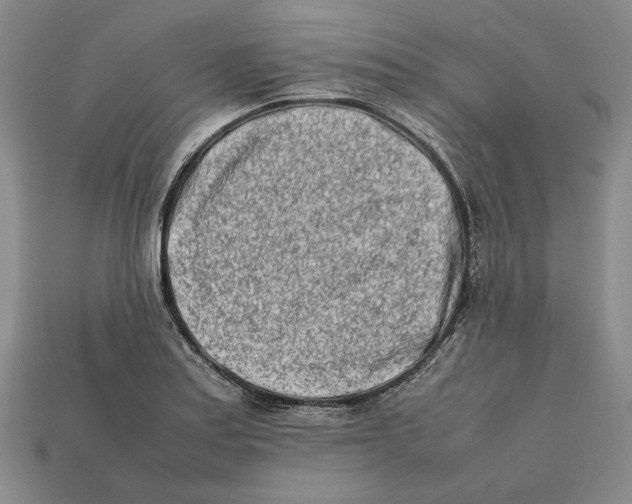 X0000112401179200909110922