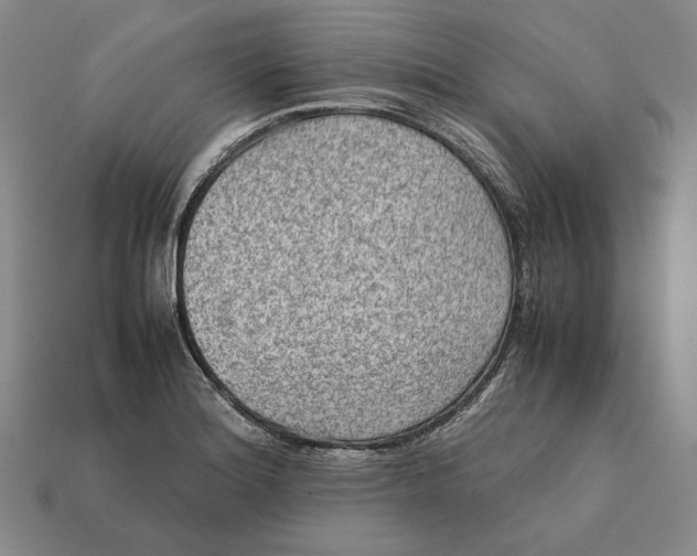 X0000112401180200909110922