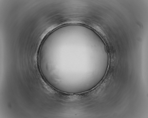 X0000112401181200909110922
