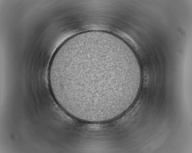 X0000112401182200909110922