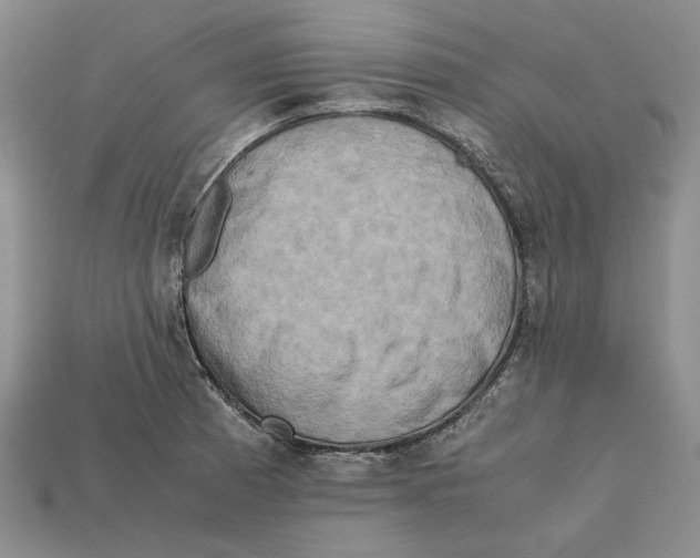 X0000112401185200909110922