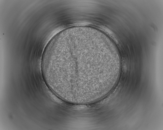 X0000112401186200909110922
