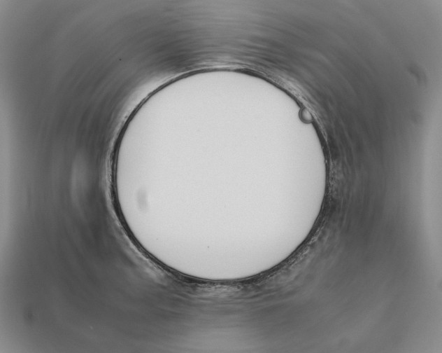 X0000112401187200909110922