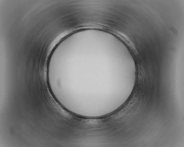 X0000112401188200909110922