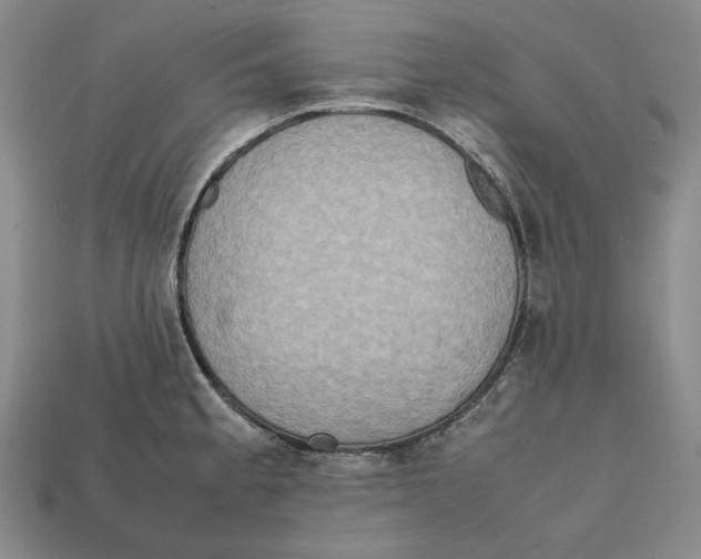 X0000112401189200909110922