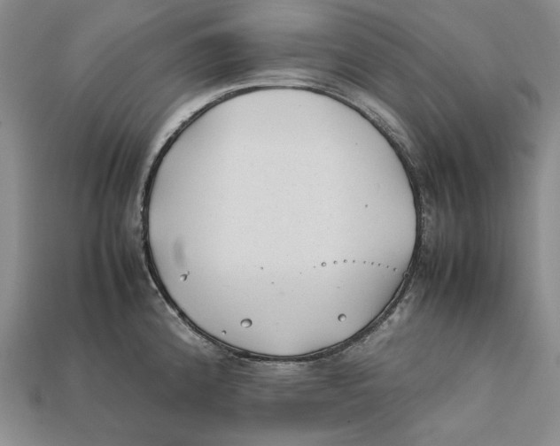 X0000112401192200909110922