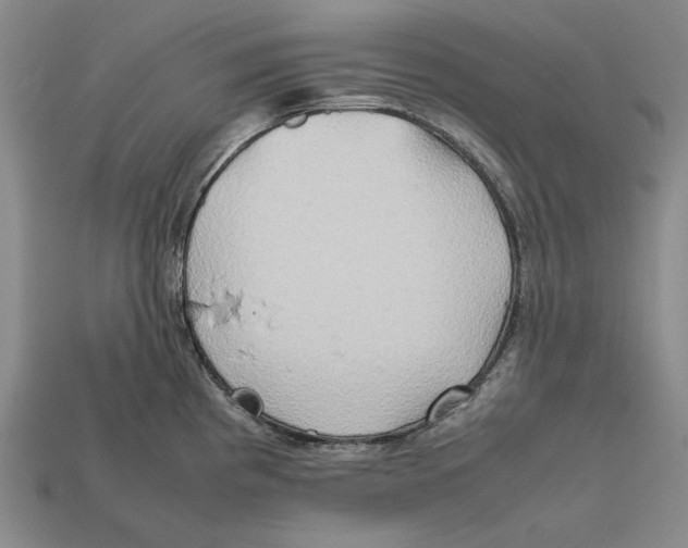 X0000112401193200909110922